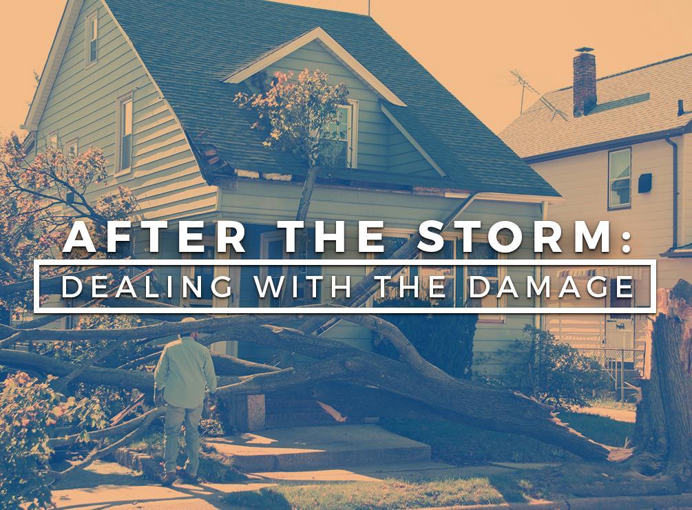 After The Storm: Dealing With The Damage